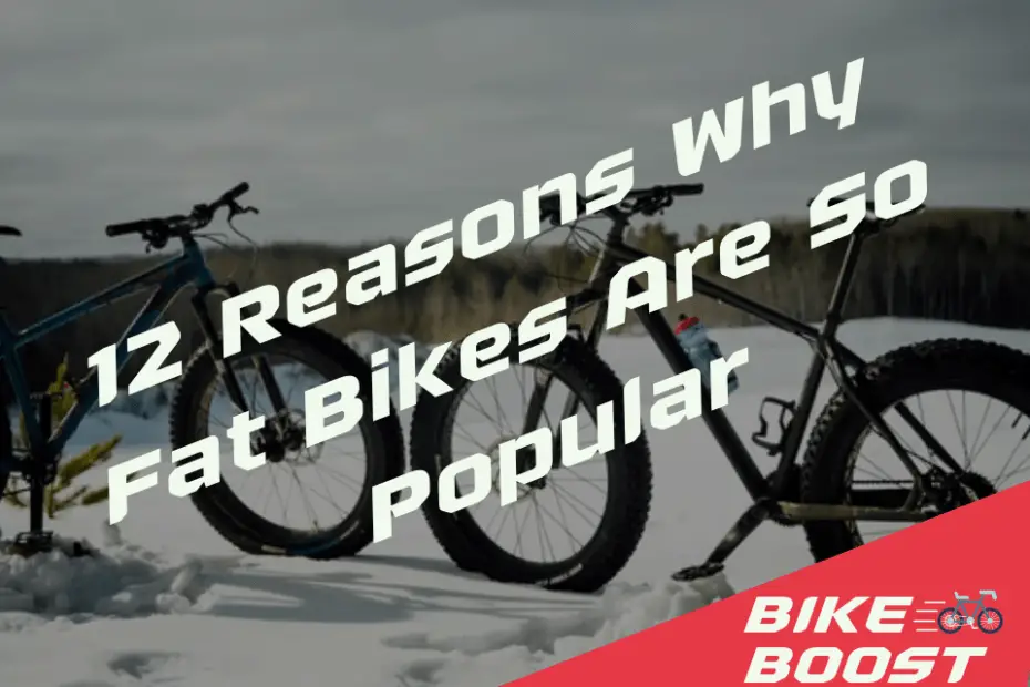 12 Reasons Why Fat Bikes Are So Popular