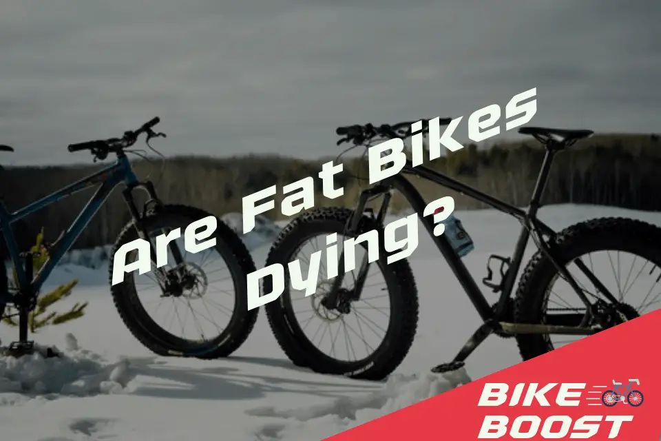 Are Fat Bikes Dying