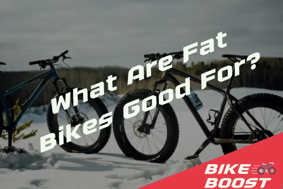What Are Fat Bikes Good For
