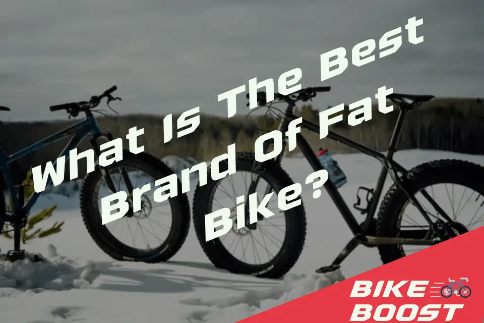What is the best brand of fat bike?