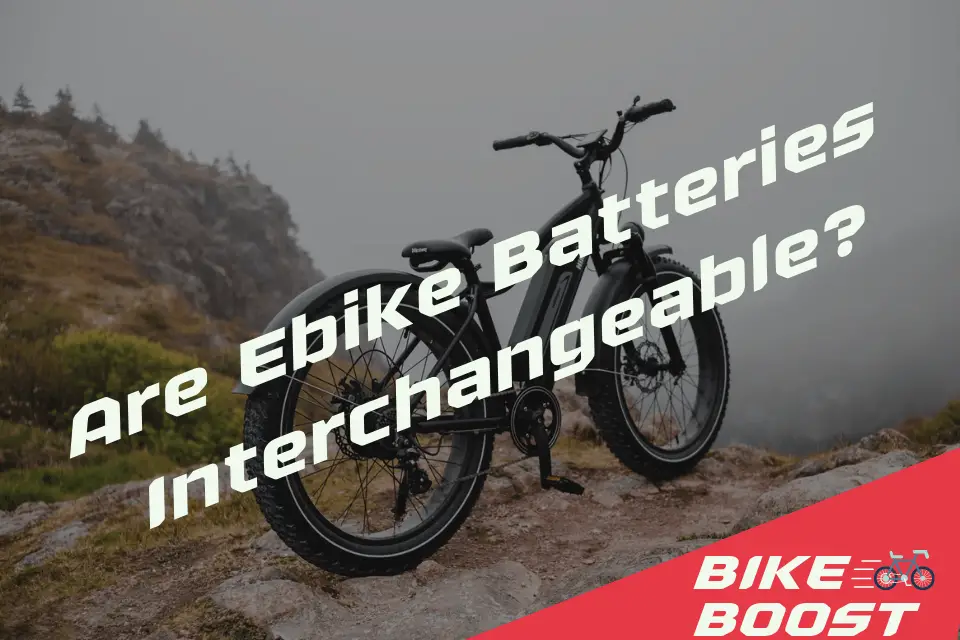 Are Ebike Batteries Interchangeable