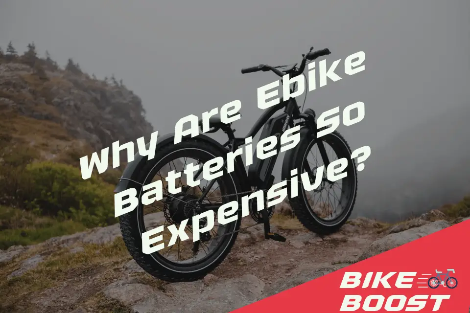Why Are Ebike Batteries So Expensive
