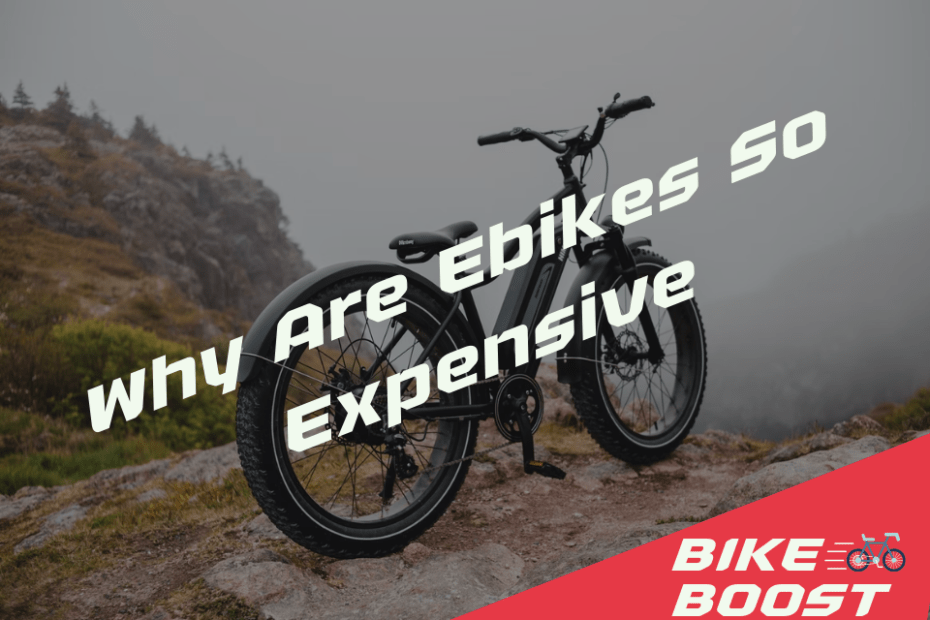 Why Are Ebikes So Expensive