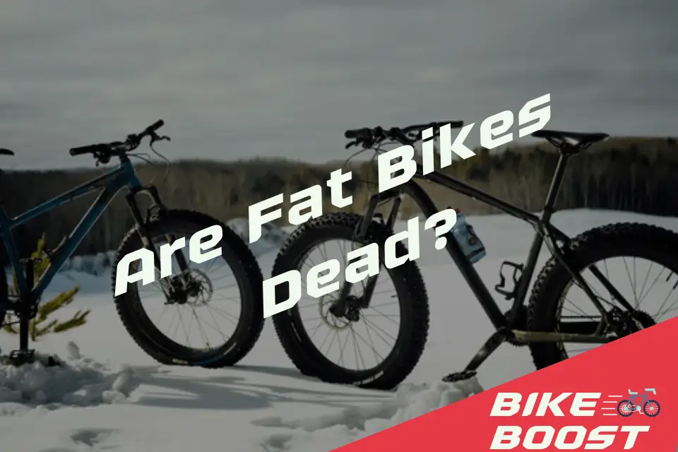Are Fat Bikes Dead