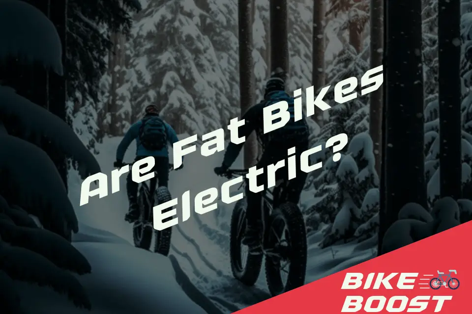 Are Fat Bikes Electric