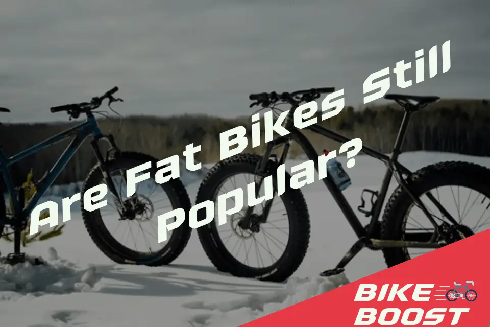 Are Fat Bikes Still Popular