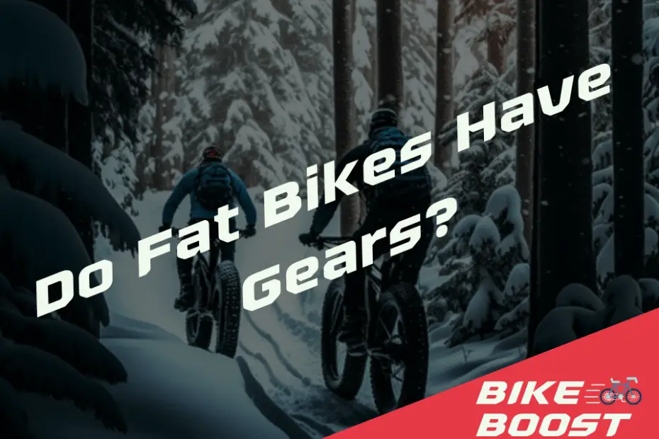 Do Fat Bikes Have Gears