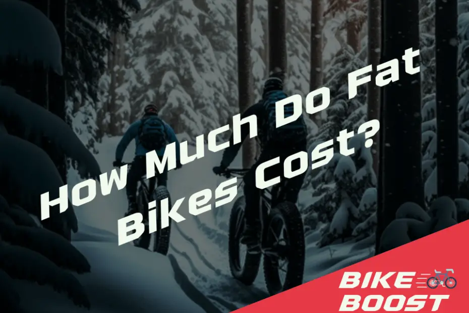 How Much Do Fat Bikes Cost