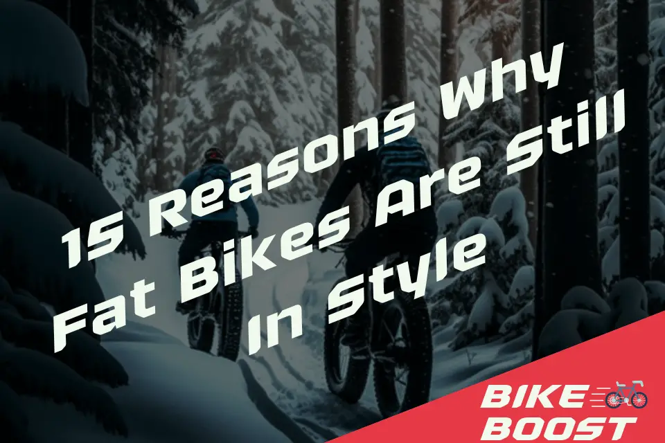 Reasons Why Fat Bikes Are Still In Style