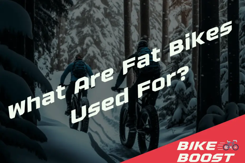 What Are Fat Bikes Used For