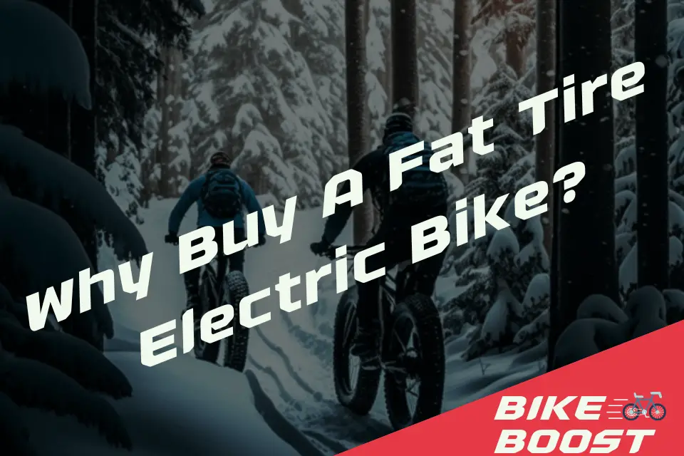 Why Buy A Fat Tire Electric Bike