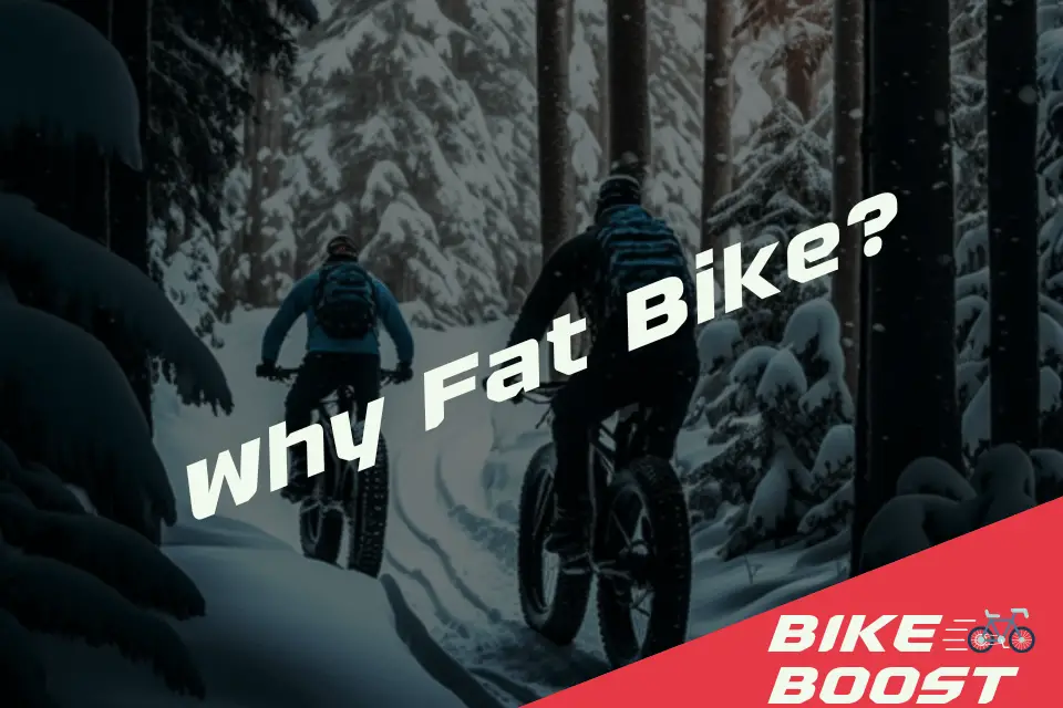 Why Fat Bike