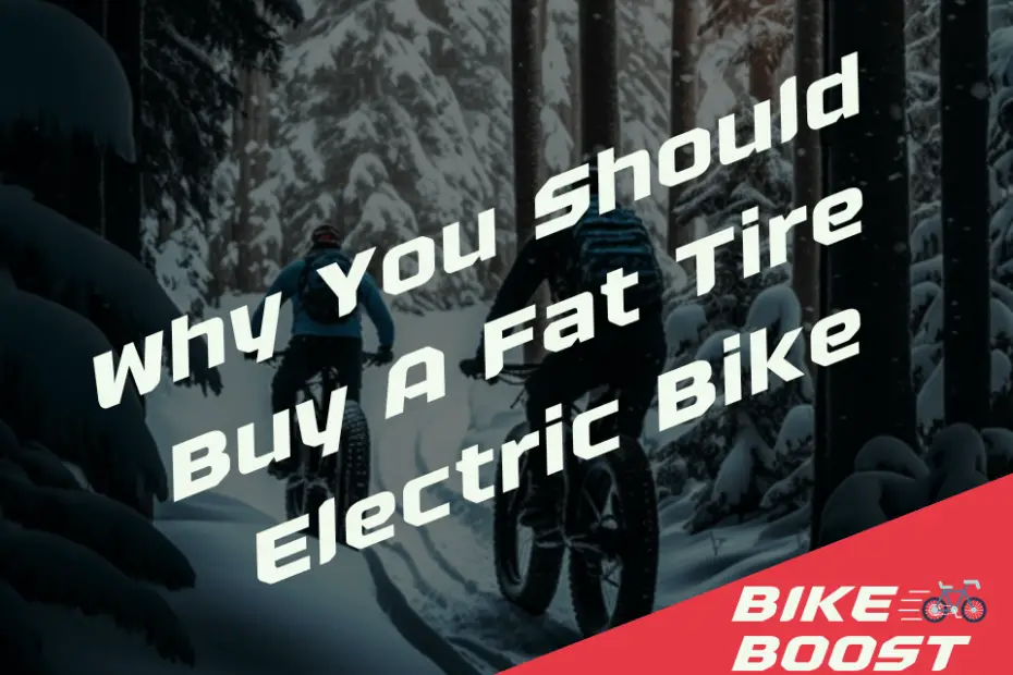 Why You Should Buy A Fat Tire Electric Bike