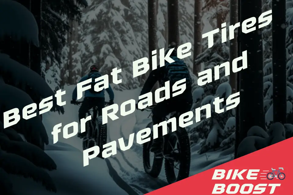 Best Fat Bike Tires for Roads and Pavements