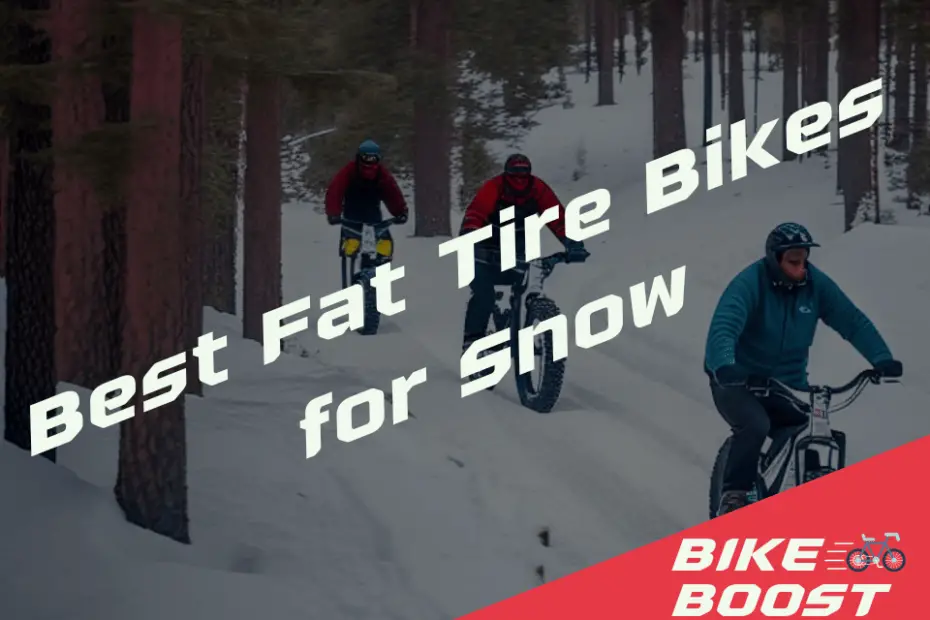 Best Fat Tire Bikes for Snow