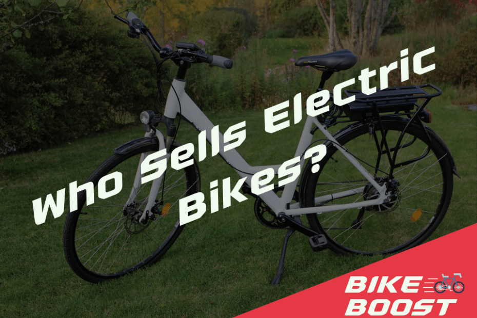 Who Sells Electric Bikes